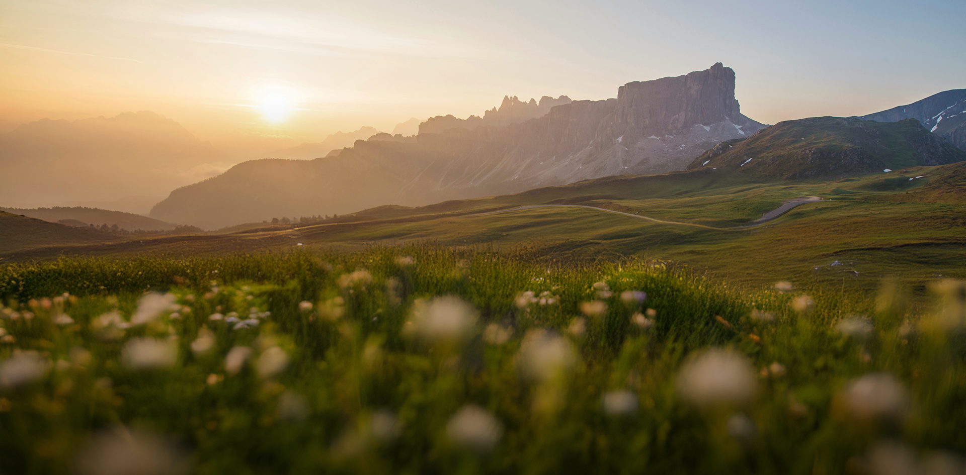 Boosting Visibility & Credibility: The Protix Digital Brand Transformation