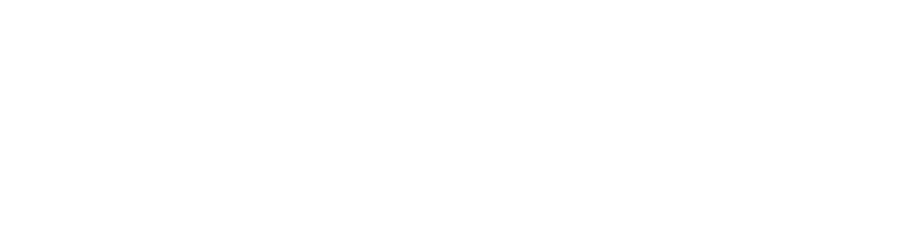 Logo 21